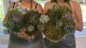 Sedum Summer Wreath Workshop Bloomery