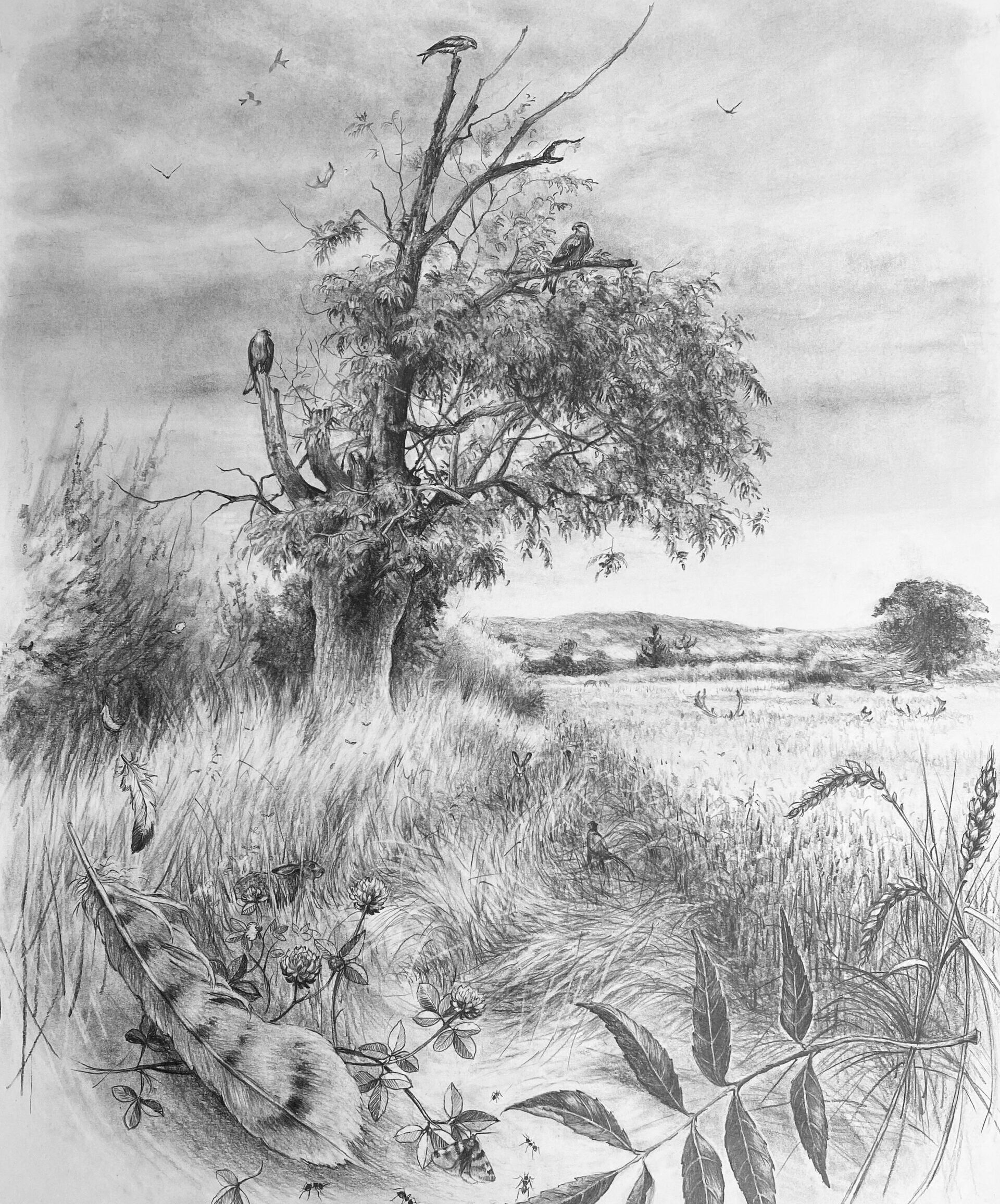 Jessie Carr The Lookout Post Graphite