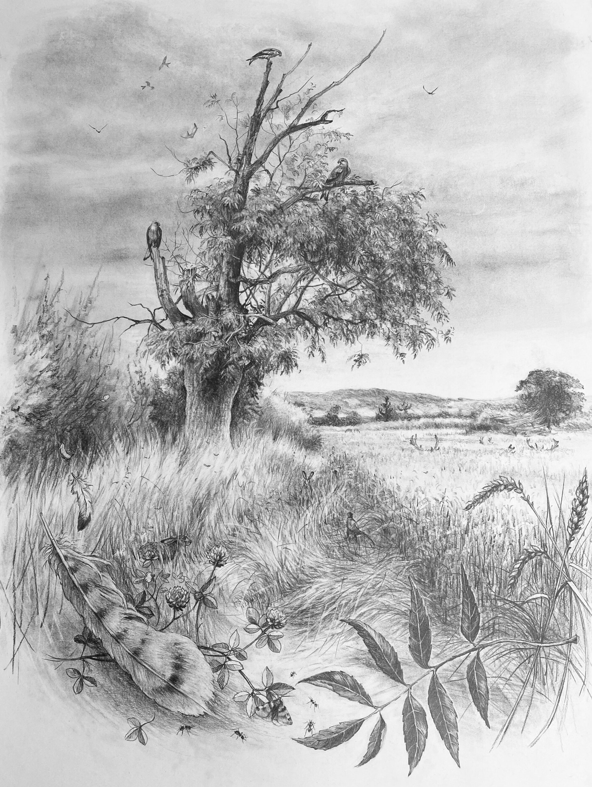 Jessie Carr The Lookout Post Graphite