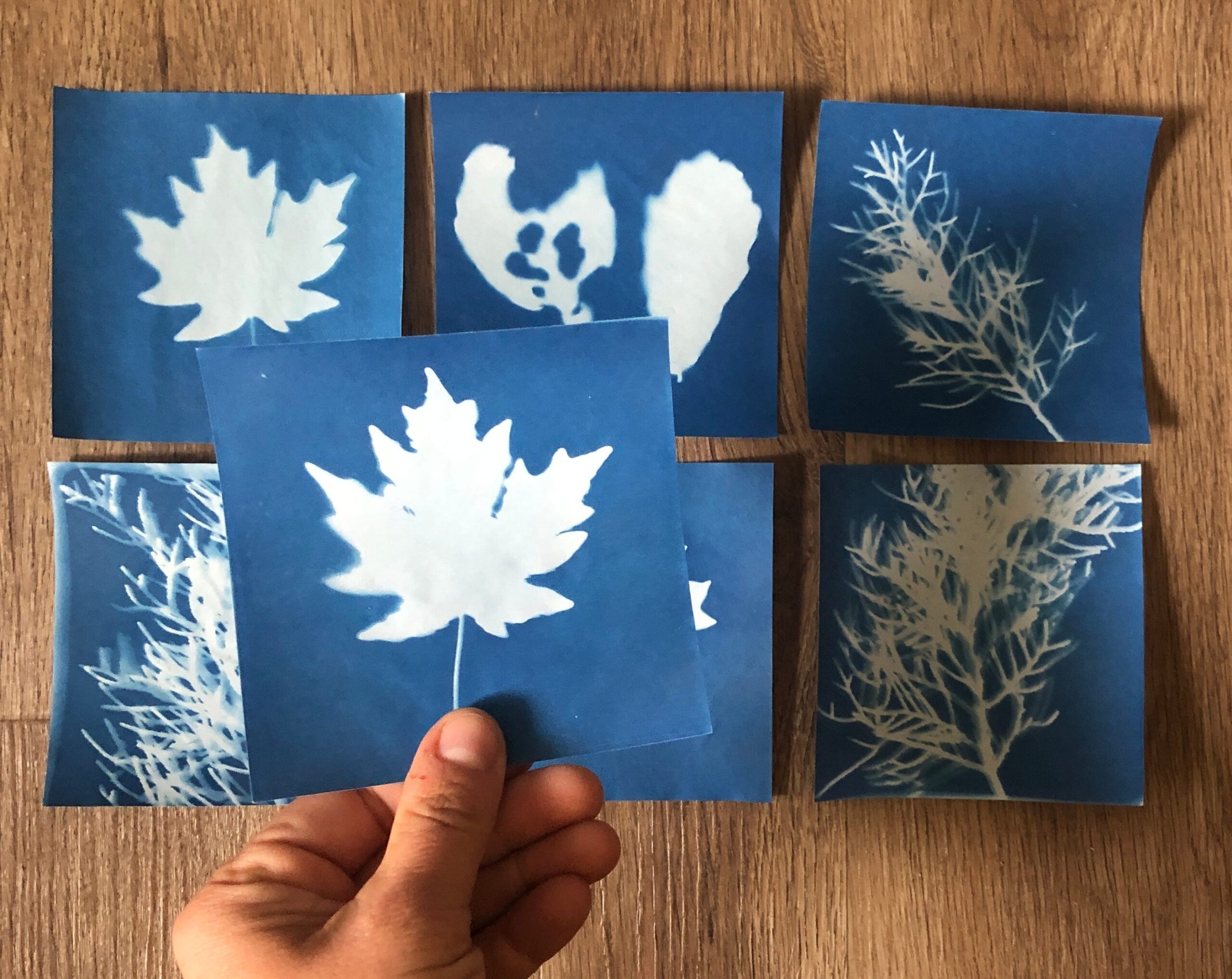 Cyanotype