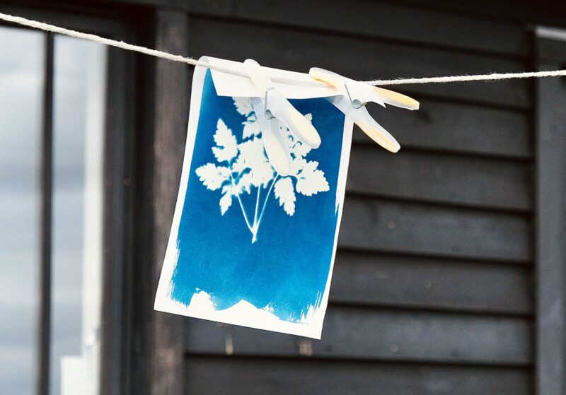 Cyanotype Workshop