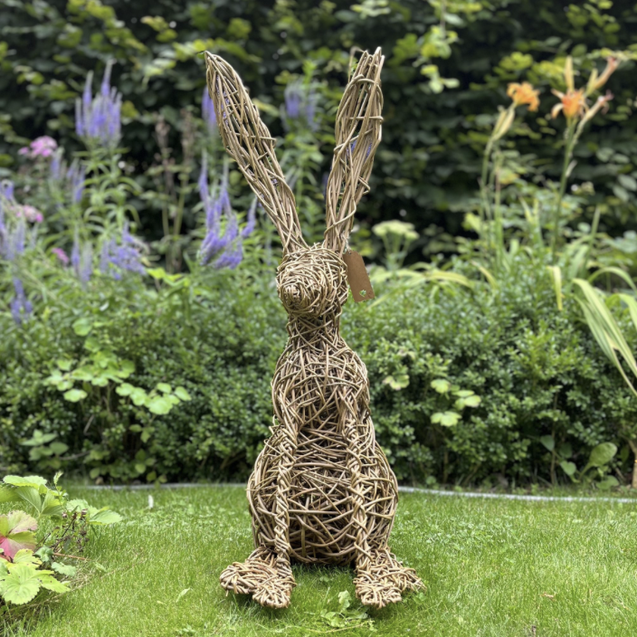 Willow Hare Rachel Harwood