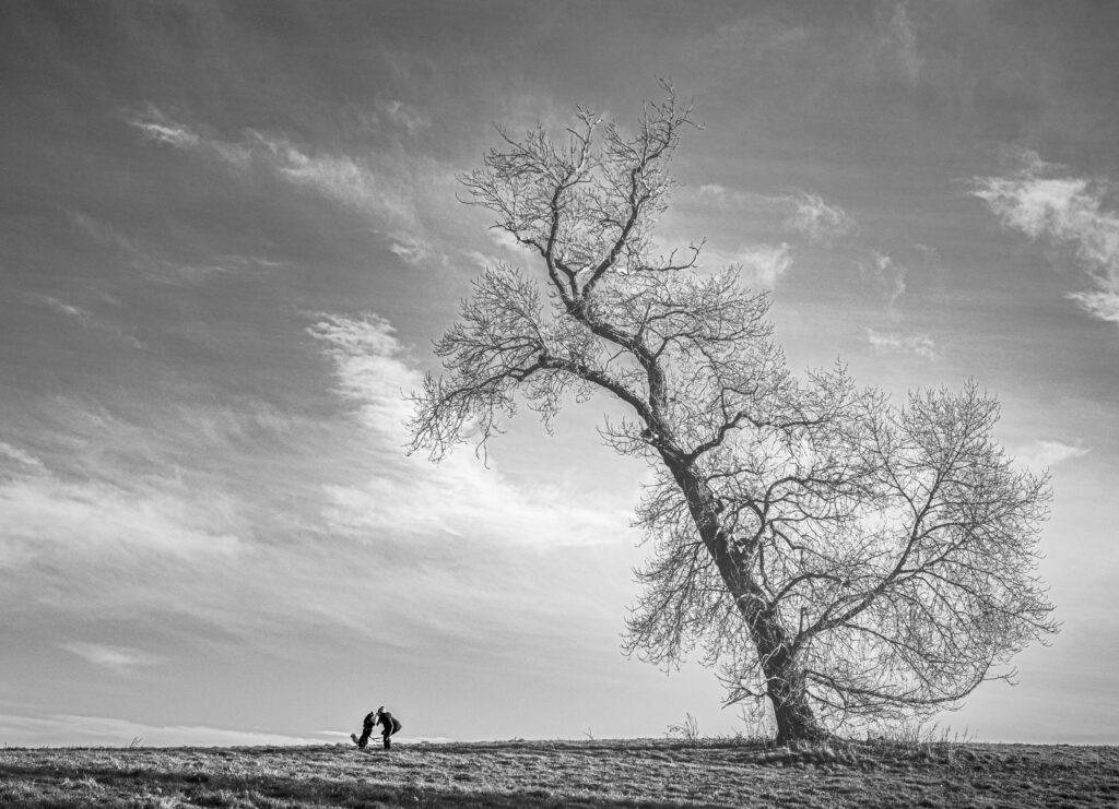193 – Under the Cotswolds Skies that tree, the girl and her dog by Shivaang Sharma