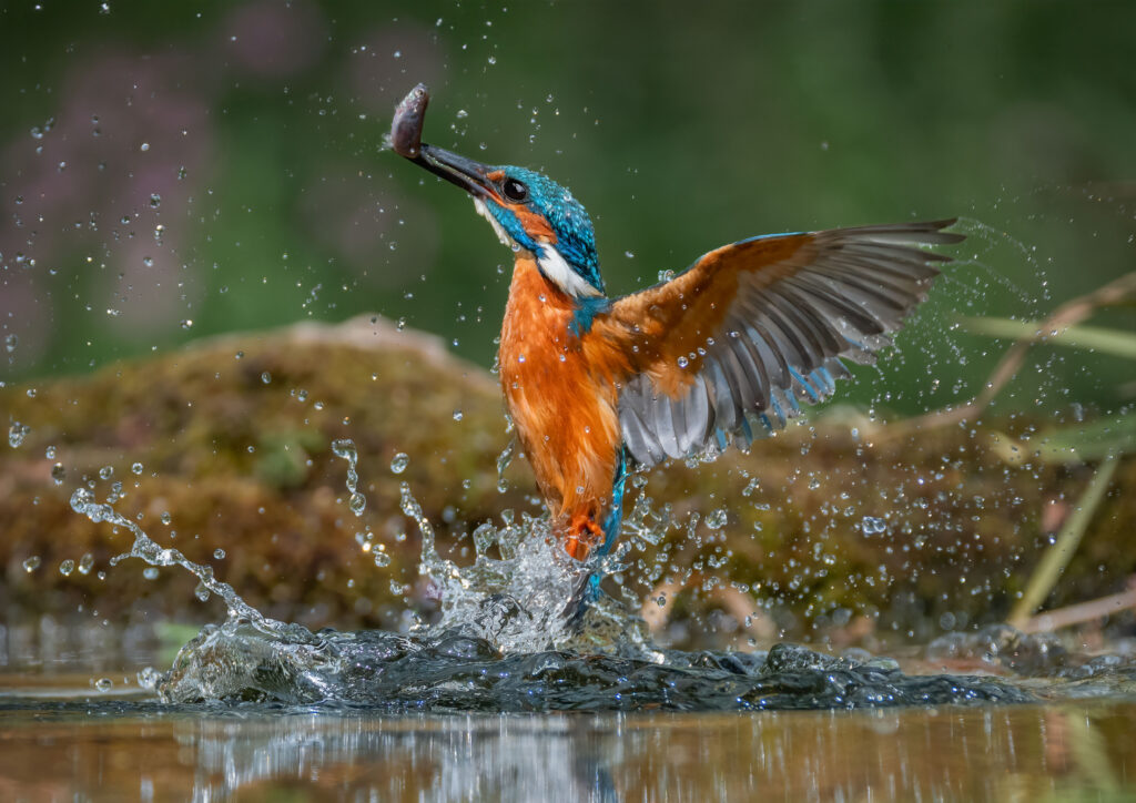 58 – Emerging by Simon Vaughan