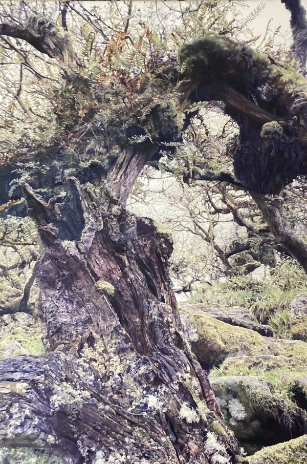 Rosemary Mafrici Artist